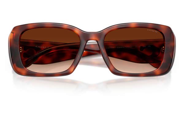 COACH 8435U CBY82 Γυαλια Ηλιου 