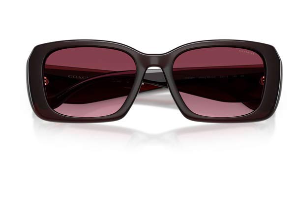 COACH 8435U CBY82 Γυαλια Ηλιου 