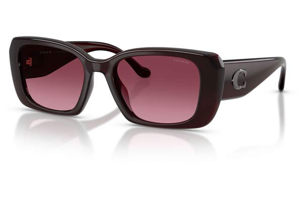 COACH 8435U CBY82 Γυαλια Ηλιου 