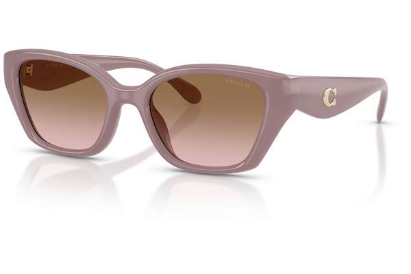 COACH 8434U CBY91 Γυαλια Ηλιου 