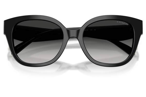 COACH 8438U CBY94 Γυαλια Ηλιου 