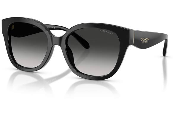 COACH 8438U CBY94 Γυαλια Ηλιου 