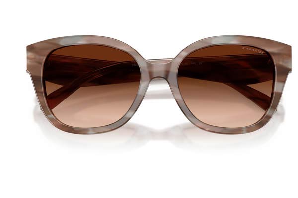 COACH 8438U CBY94 Γυαλια Ηλιου 