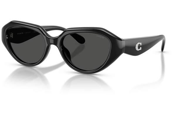COACH 8433U CBY77 Γυαλια Ηλιου 
