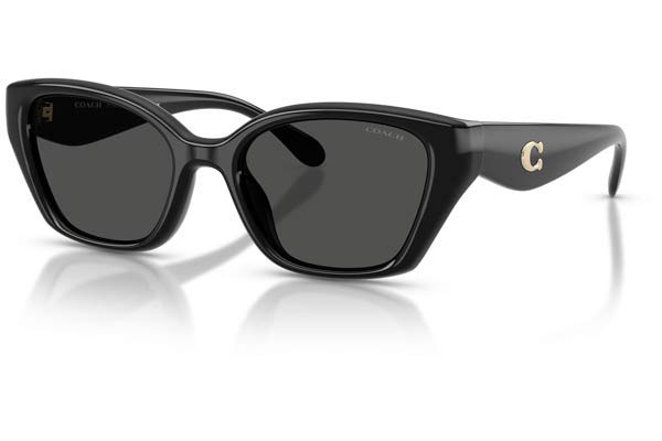 COACH 8434U CBY91 Γυαλια Ηλιου 