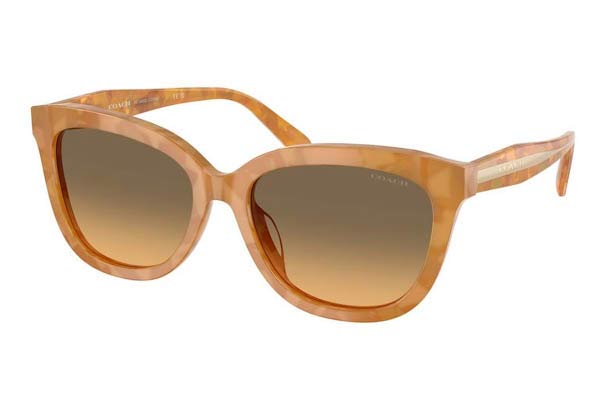 coach 8453U CDP53 Γυαλια Ηλιου 