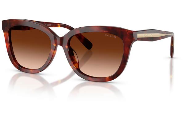 COACH 8453U CDP53 Γυαλια Ηλιου 