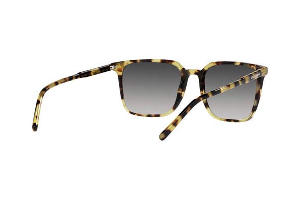 DOLCE GABBANA 4424 Γυαλια Ηλιου 