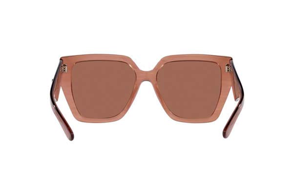 DOLCE GABBANA 4438 Γυαλια Ηλιου 