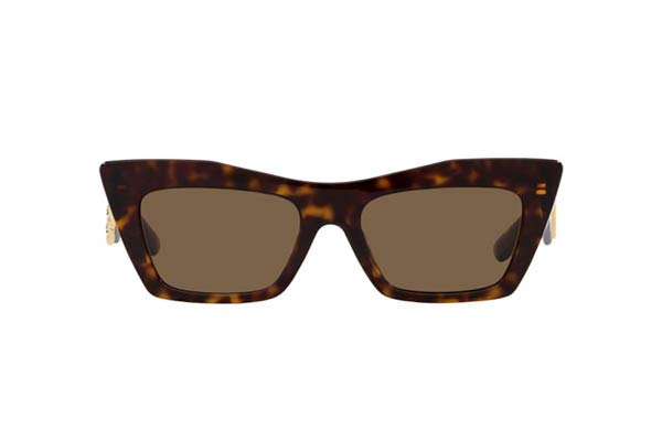 DOLCE GABBANA 4435 Γυαλια Ηλιου 