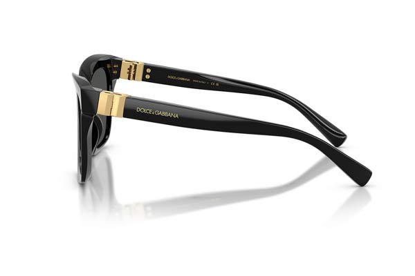 DOLCE GABBANA 4498 Γυαλια Ηλιου 