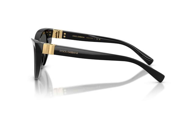 DOLCE GABBANA 4497 Γυαλια Ηλιου 