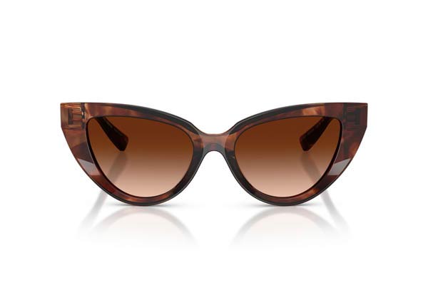 DOLCE GABBANA 4497 Γυαλια Ηλιου 