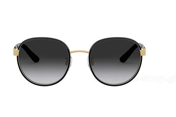 DOLCE GABBANA 2227J Γυαλια Ηλιου 