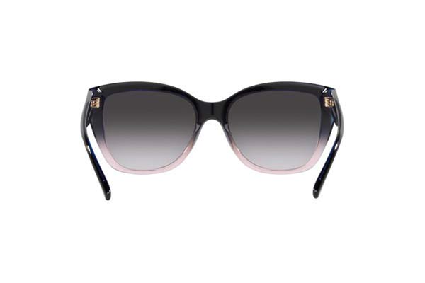 EMPORIO ARMANI 4198 Γυαλια Ηλιου 
