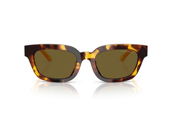 EMPORIO ARMANI 4233U Γυαλια Ηλιου 