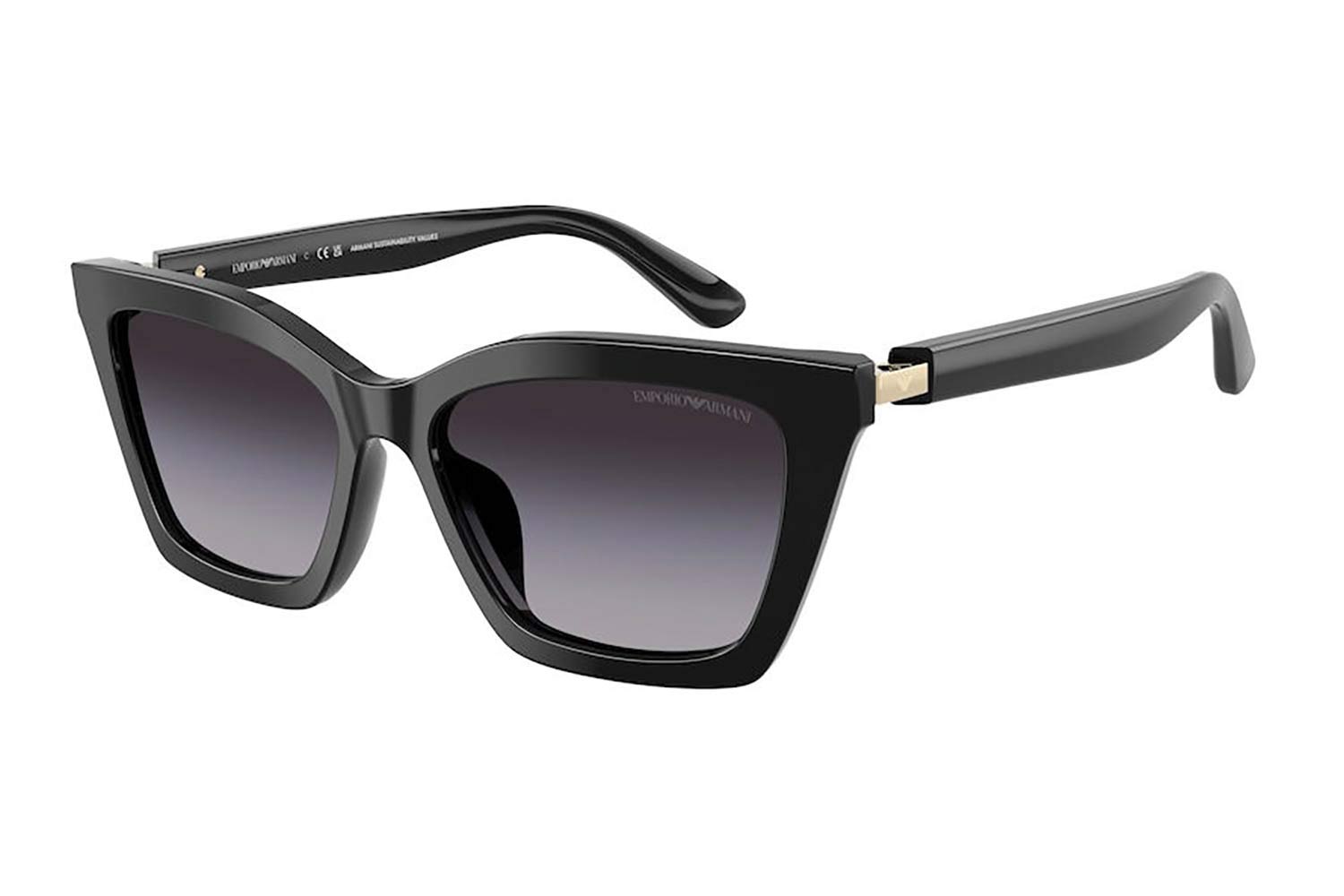 EMPORIO ARMANI 4250U Γυαλια Ηλιου 