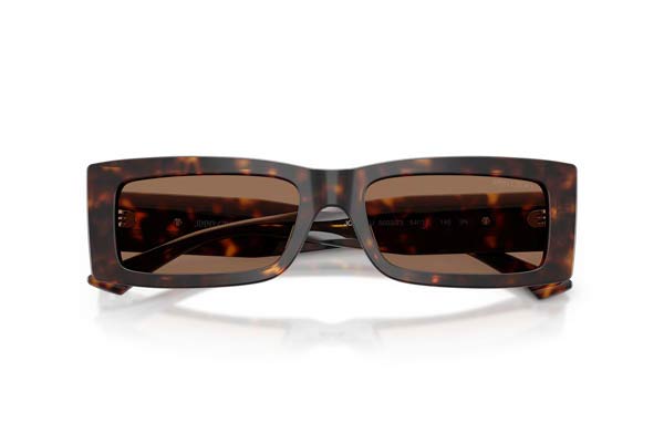 JIMMY CHOO 5040U Γυαλια Ηλιου 