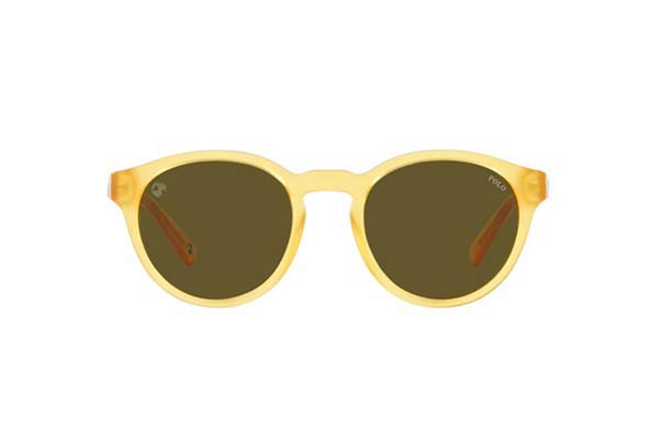 POLO RALPH LAUREN 4192 Γυαλια Ηλιου 