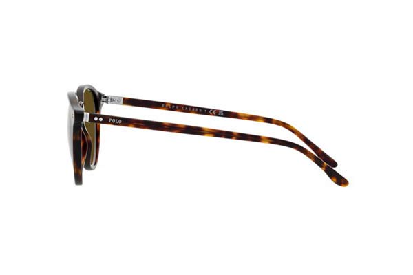 POLO RALPH LAUREN 4193 Γυαλια Ηλιου 