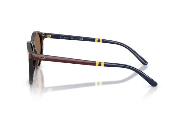 POLO RALPH LAUREN 4236 Γυαλια Ηλιου 