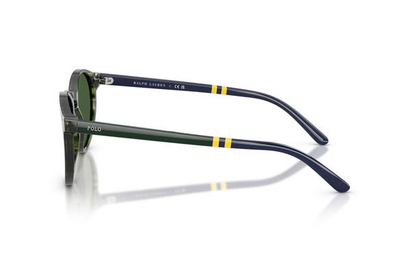 POLO RALPH LAUREN 4236 Γυαλια Ηλιου 