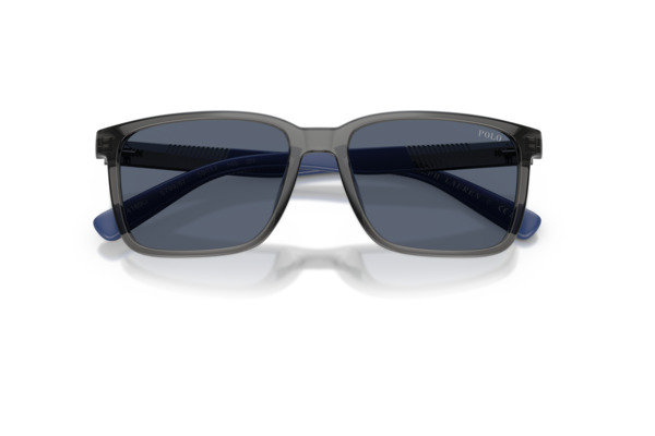 POLO RALPH LAUREN 4189U Γυαλια Ηλιου 