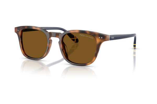 POLO RALPH LAUREN 4251U Γυαλια Ηλιου 