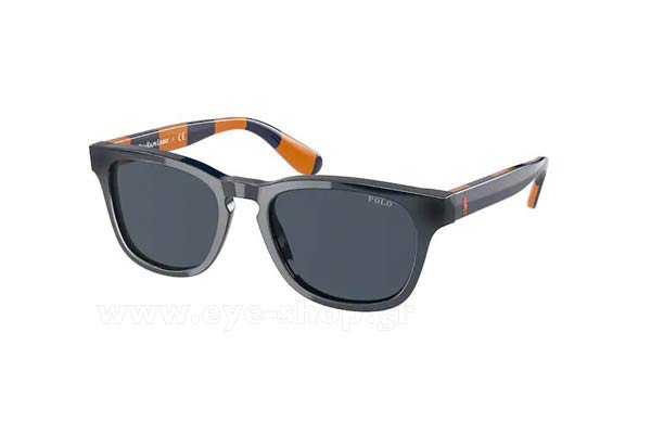 POLO RALPH LAUREN 9503 Γυαλια Ηλιου 