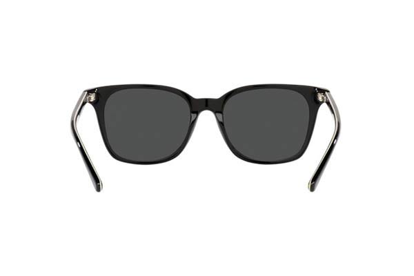 POLO RALPH LAUREN 4187 Γυαλια Ηλιου 