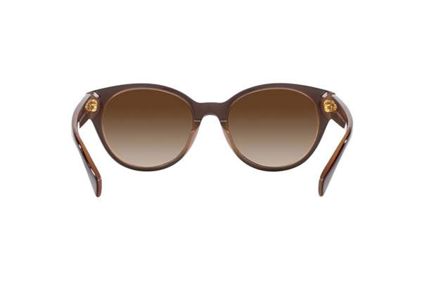 RALPH BY RALPH LAUREN 5302U Γυαλια Ηλιου 