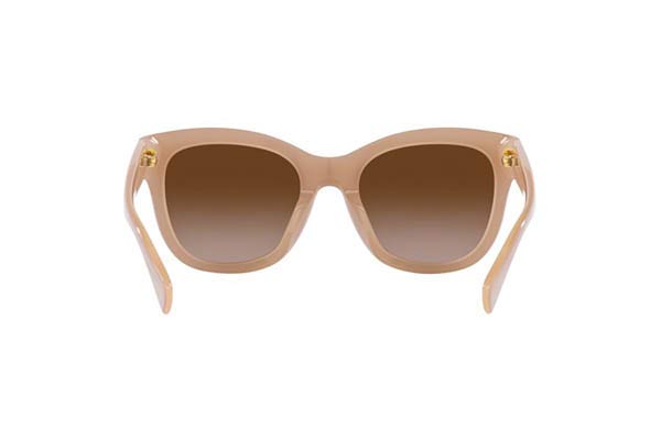 RALPH BY RALPH LAUREN 5301U Γυαλια Ηλιου 