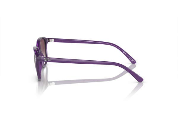 RAYBAN JUNIOR 9093S JUNIOR LEONARD Γυαλια Ηλιου 