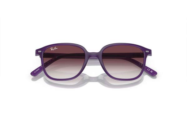 RAYBAN JUNIOR 9093S JUNIOR LEONARD Γυαλια Ηλιου 