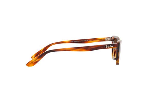 RAYBAN JUNIOR 9099S MISS BURBANK Γυαλια Ηλιου 