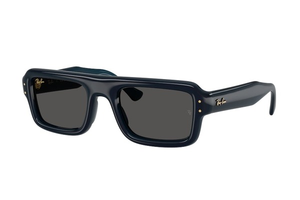 Rayban 4954 689587 size 54 Γυαλια Ηλιου Τιμή: 154,00