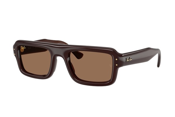 RAYBAN 4954 Γυαλια Ηλιου 