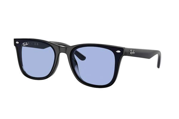 RAYBAN 4420 Γυαλια Ηλιου 