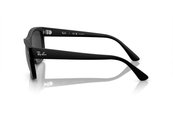RAYBAN 4428 Γυαλια Ηλιου 