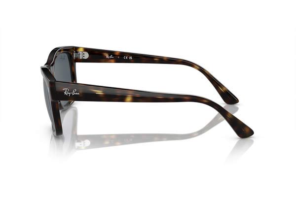 RAYBAN 4428 Γυαλια Ηλιου 