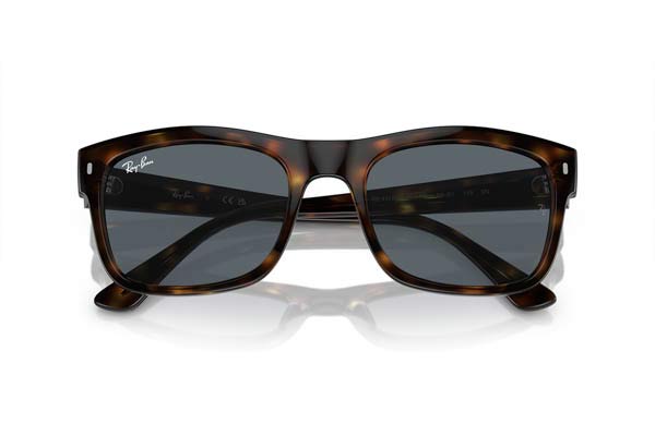 RAYBAN 4428 Γυαλια Ηλιου 