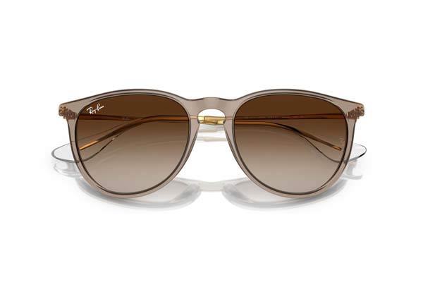 RAYBAN ERIKA 4171 Γυαλια Ηλιου 
