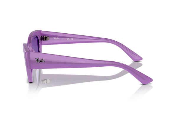 RAYBAN 4430 ZENA Γυαλια Ηλιου 
