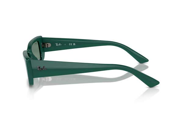 RAYBAN 4425 TERU Γυαλια Ηλιου 