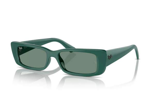 RAYBAN 4425 TERU Γυαλια Ηλιου 