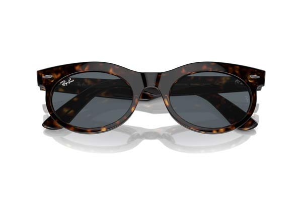 RAYBAN 2242 WAYFARER OVAL Γυαλια Ηλιου 