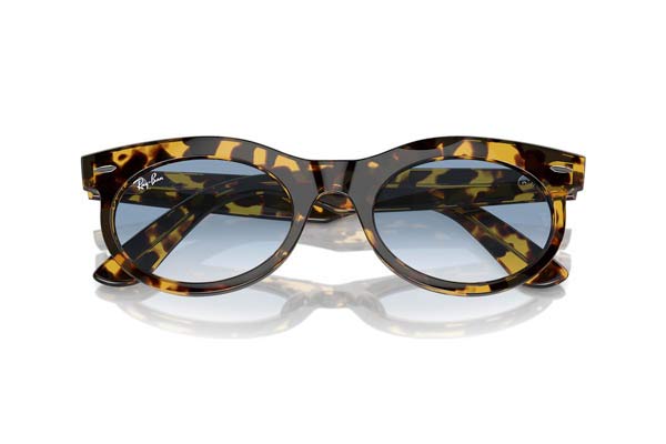 RAYBAN 2242 WAYFARER OVAL Γυαλια Ηλιου 