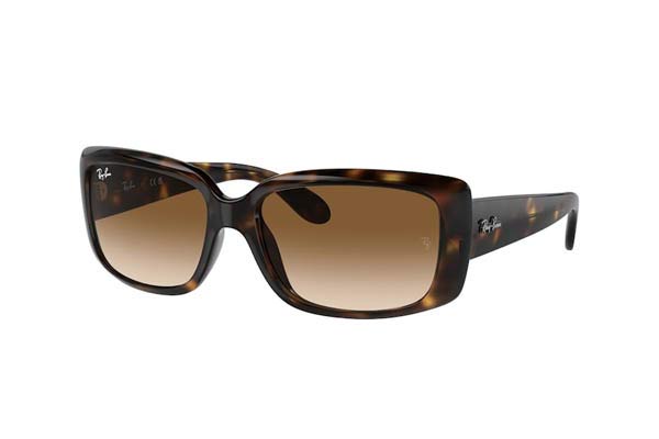 RAYBAN 4389 Γυαλια Ηλιου 