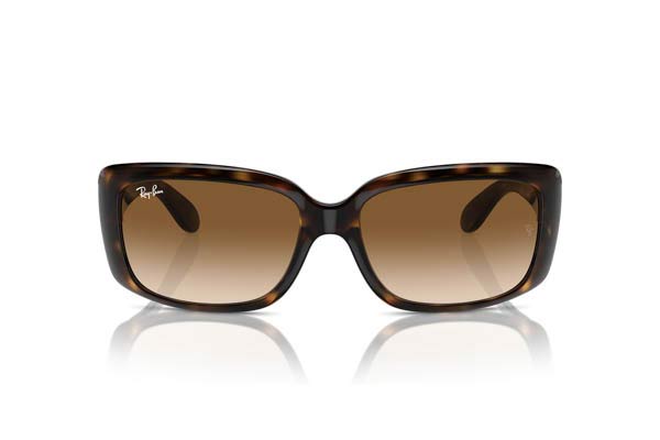 RAYBAN 4389 Γυαλια Ηλιου 