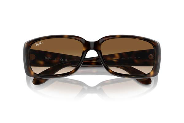 RAYBAN 4389 Γυαλια Ηλιου 